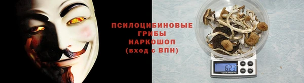 СК Абдулино