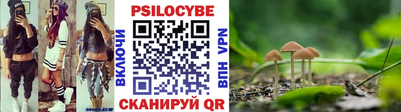 купить наркотики сайты Сураж блэк спрут ONION Псилоцибиновые грибы ЛСД